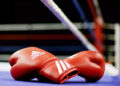 How Does a Purse Bid Work in Boxing?